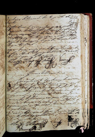 Original Document numérique not accessible