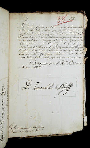 Original Document numérique not accessible