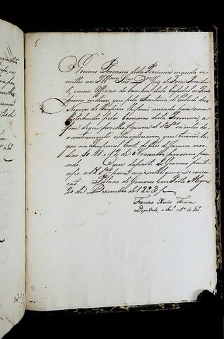 Open original Document numérique