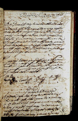Página 219 - 17/04/1784 a 28/04/1784