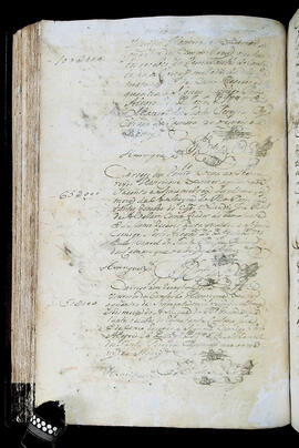 Página 201 - 21/01/1795 a 26/08/1795