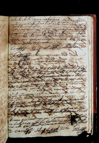 Original Document numérique not accessible