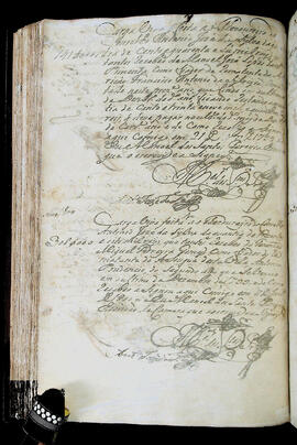 Página 217 - 21/12/1799 a 31/12/1799