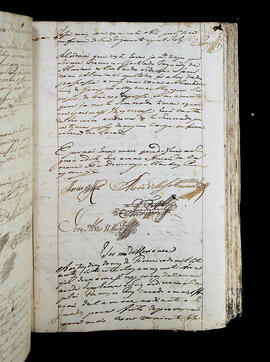 Página 317 - 23/01/1773 a 03/02/1773