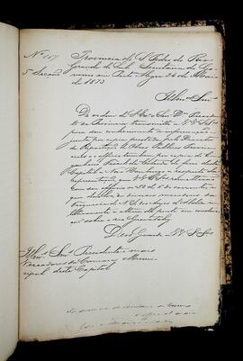 Página 116 - 24/05/1873